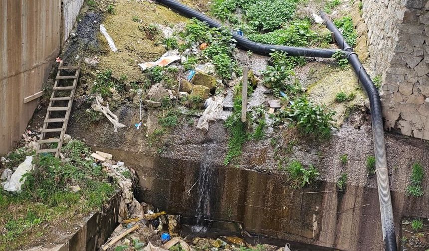 Dere Kirliliği Vatandaşları Rahatsız Ediyor