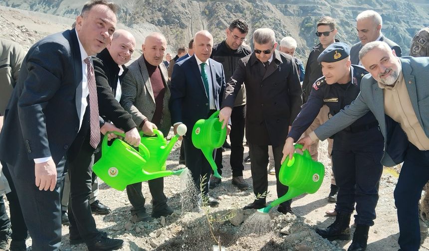 450 Butko Zeytini Fidanı Toprakla Buluştu