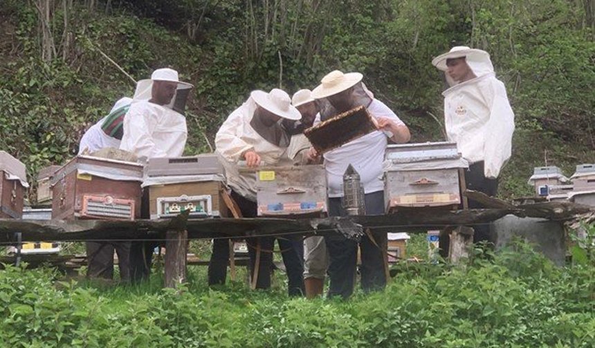 ARTAMER'den Ana Arı Yetiştiriciliği Eğitimi