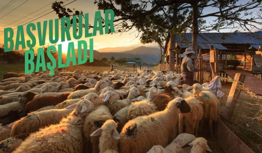 Hayvancılıkta Yeni Fırsat Kapısı