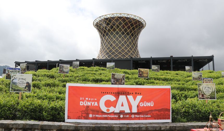 ÇAYKUR Kampanyanın İlk Gününde Yaklaşık 900 Ton Yaş Çay Aldı