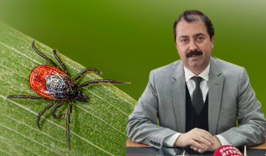 Artvin’de Kene Alarmı