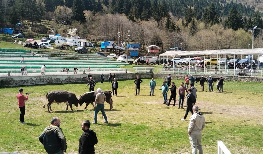 Geleceğin Boğaları Arenada