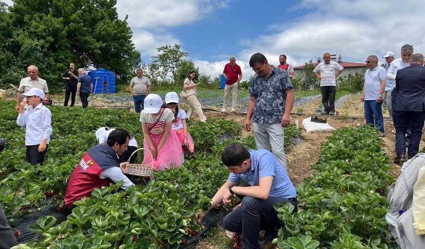 Yayla çileği aromasıyla öne çıkıyor