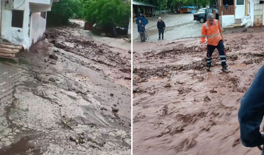 Artvin'de Sağanak Sonrası Dereler Taştı