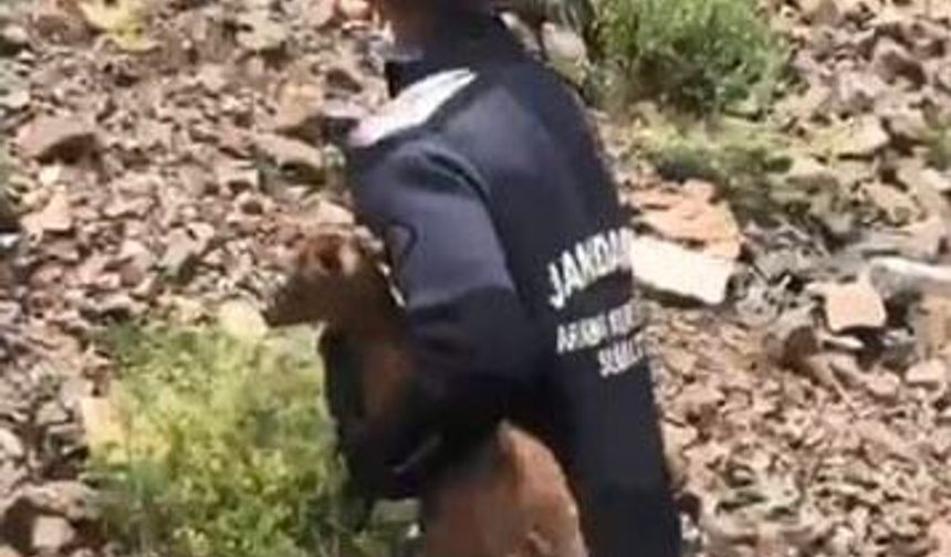 JAK Dalgıçları Mahsur Kalan Yavru Keçiyi Kurtardı