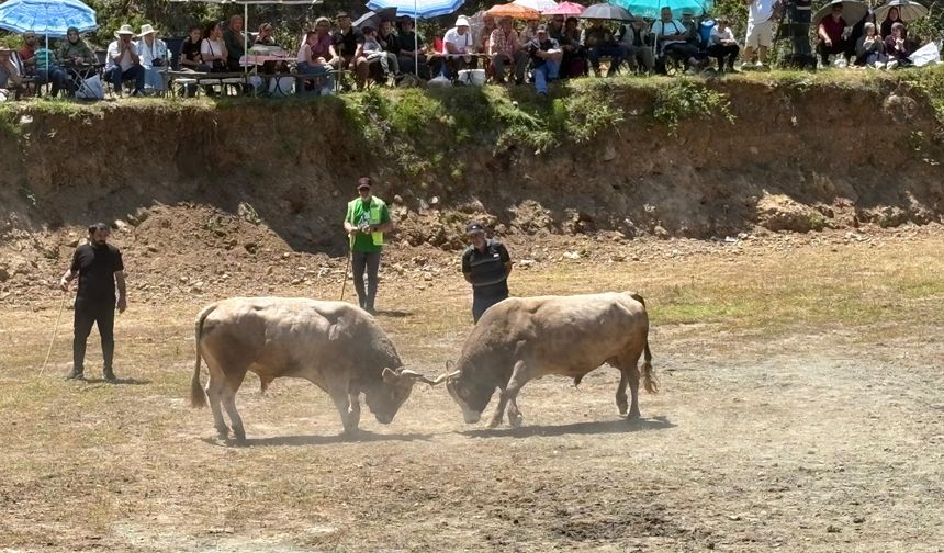 Şampiyonlar Belli Oldu