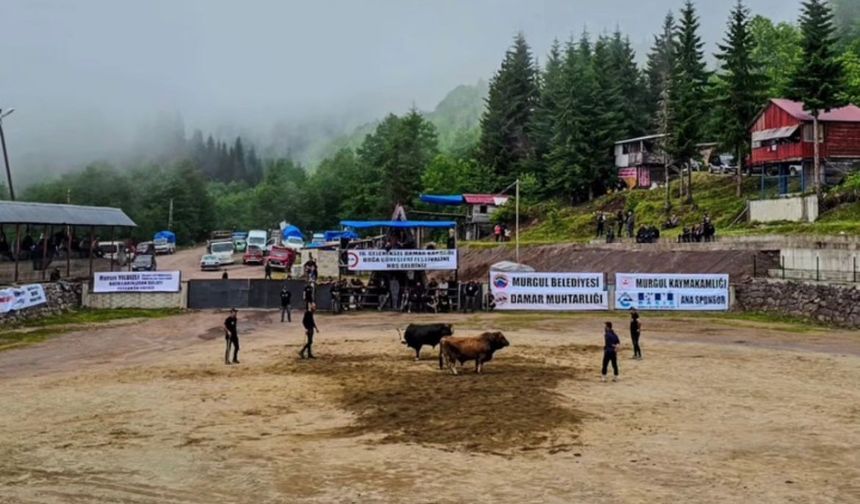 Damar Festivali’nde ilk günün şampiyonları belli oldu