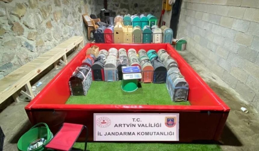 Horoz Dövüşüne Jandarma Baskını