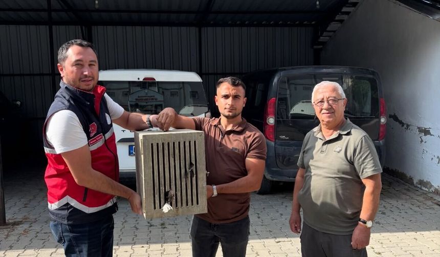 Yaralı leylek koruma altına alındı