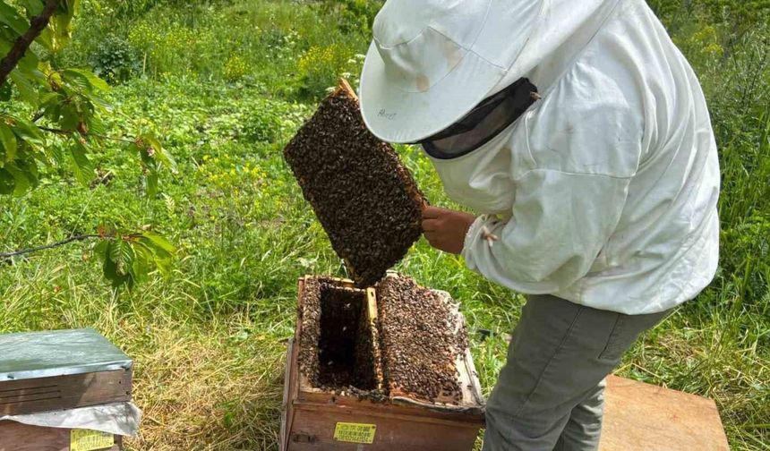 Bal Hasat Sezonu Öncesi Üreticilerle Buluşma