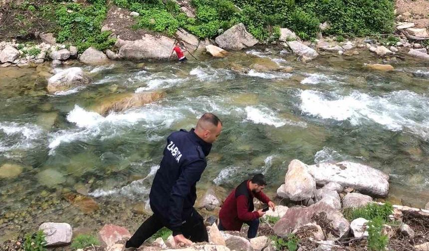 Papağanını kurtardı, kendisi mahsur kaldı