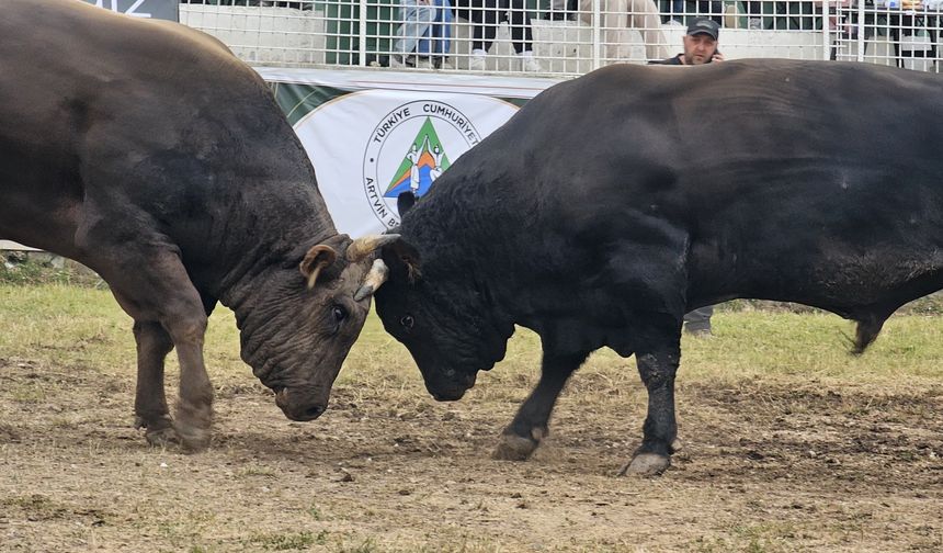 45. Kafkasör’de İkinci Gün Tamamlandı, Kupalar Sahiplerini Buldu