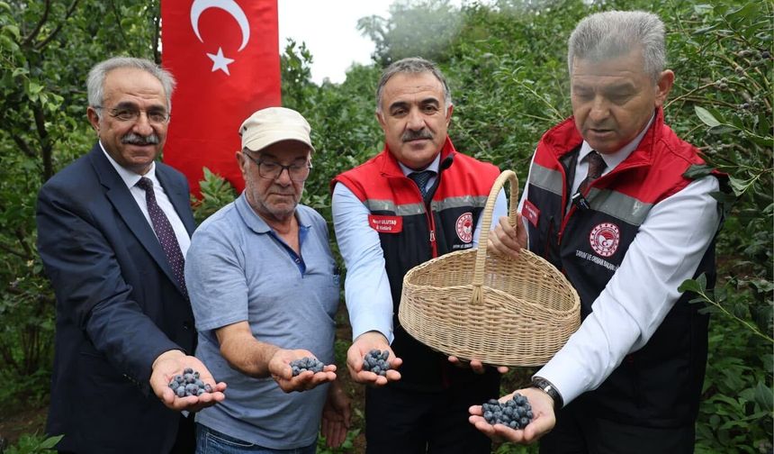 Mavi Yemiş Hasat Programı Gerçekleştirildi