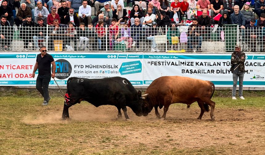 45. Kafkasör Festivali’nde 3. Gün Güreşleri Başladı