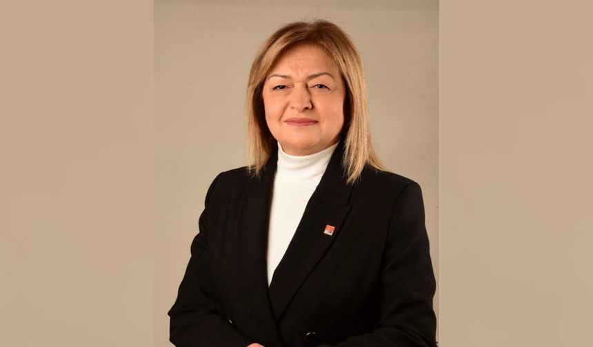 CHP PM Üyesi Asiye Ergül: "İrade örgüttedir, meşruiyet sandıktadır"