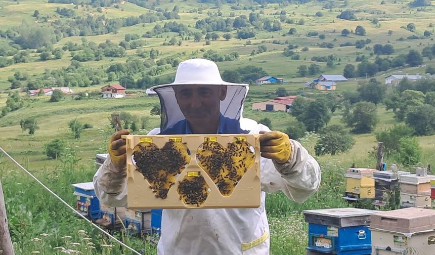 Şavşat Balı Dünya Kalitesinde, Değerini Bulamıyor