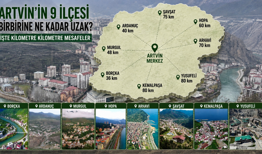 Artvin’in 9 İlçesi Birbirine Ne Kadar Uzak? İşte Kilometre Kilometre Mesafeler