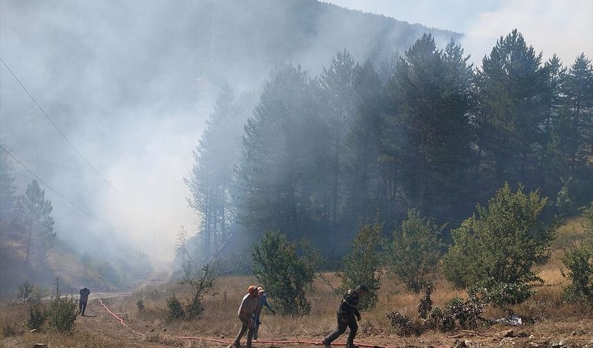 Kastamonu'da çıkan orman yangını kontrol altına alındı