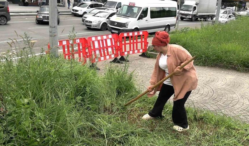 Rize'de tırpanla geçim mücadelesi