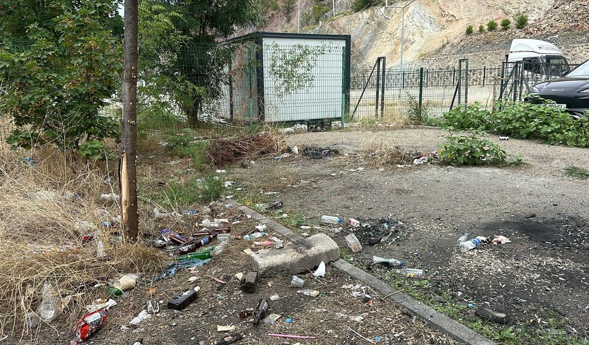 Artvin’e Girişte Utandıran Manzara: Çoruh Park Çöplüğe Döndü