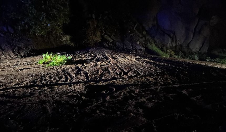 Aydemir’den Şavşat yolu açıklaması: “Üç bakanlık koordineli çalışıyor”