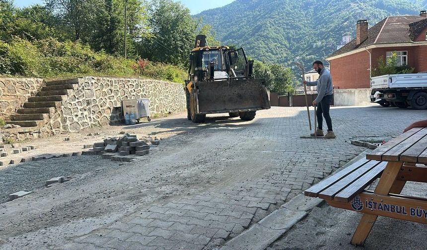 Borçka Belediyesi Ekipleri Sahada: İlçede Çalışmalar Sürüyor