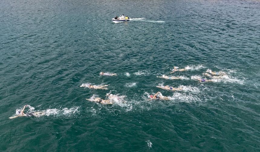 Sinop'ta 550 metre serbest yüzme yarışması düzenlendi