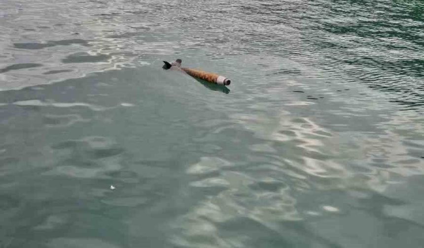 Hopa'da Deniz Yüzeyinde Roket Benzeri Cisim Alarmı