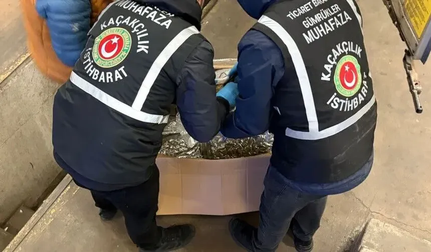 Gümrük muhafaza ekipleri kaçakçılara göz açtırmadı