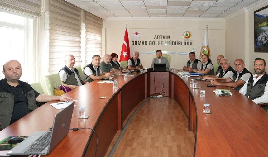 Artvin’de Çığ Alarmı: Riskli Alanlar İçin Yeni Çalışmalar Masada