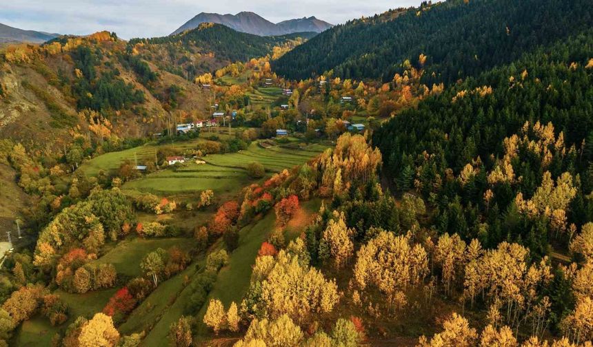 Artvin'de Sonbahar Renkleri Hayran Bırakıyor