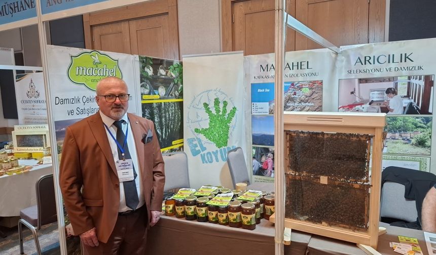 Doğu Karadeniz'in Balları Görücüye Çıktı