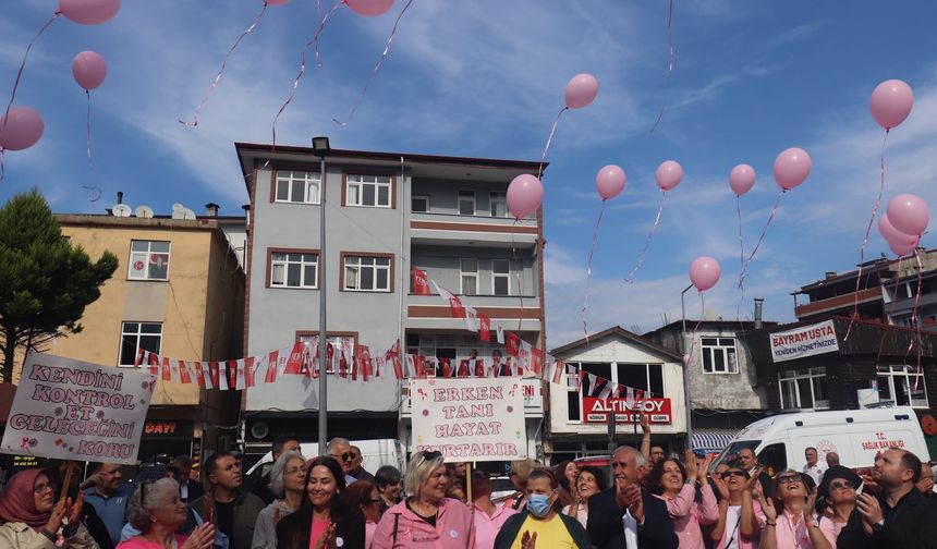 Meme Kanserine Karşı Pembe Yürüyüş