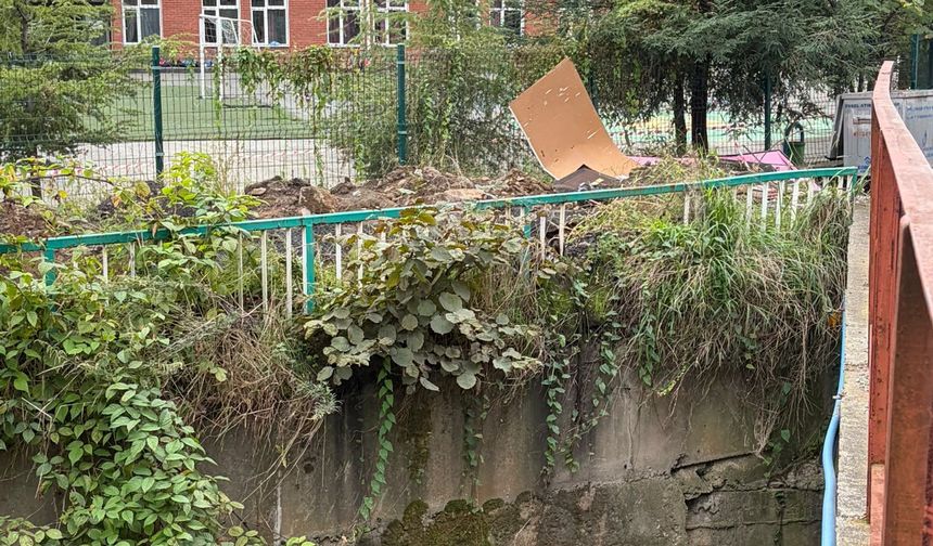 Arhavi’de kanalizasyon suyu okul önündeki dereye akıyor!