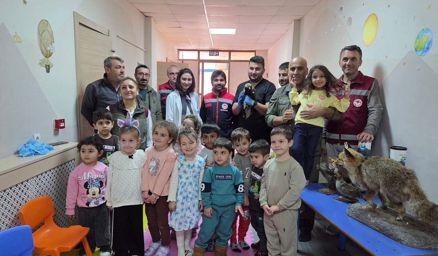 Çocuklara Hayvan ve Doğa Sevgisi Anlatıldı