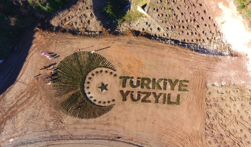 Binlerce fidanla "Türkiye Yüzyılı" logosu oluşturuldu