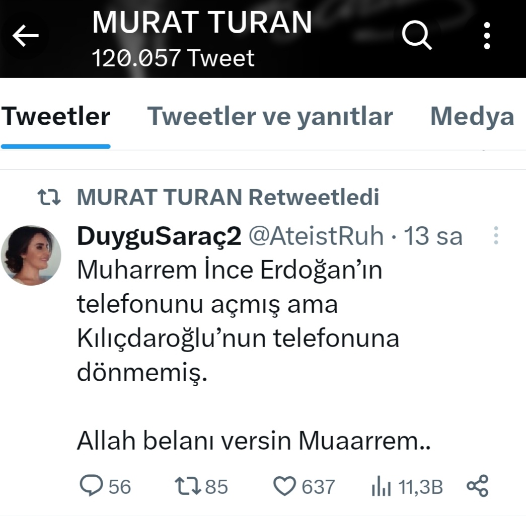 Murat Turan Muharrem İnce (1)