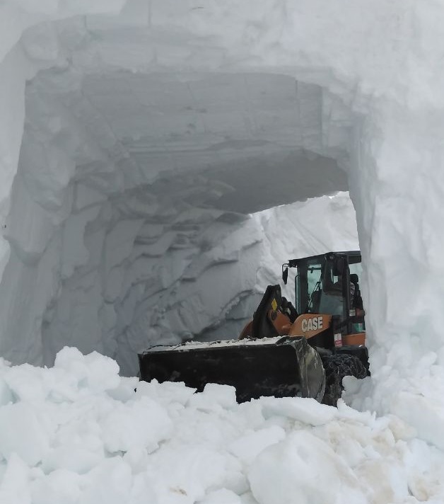 ARHAVİ YAYLA YOLU (3)