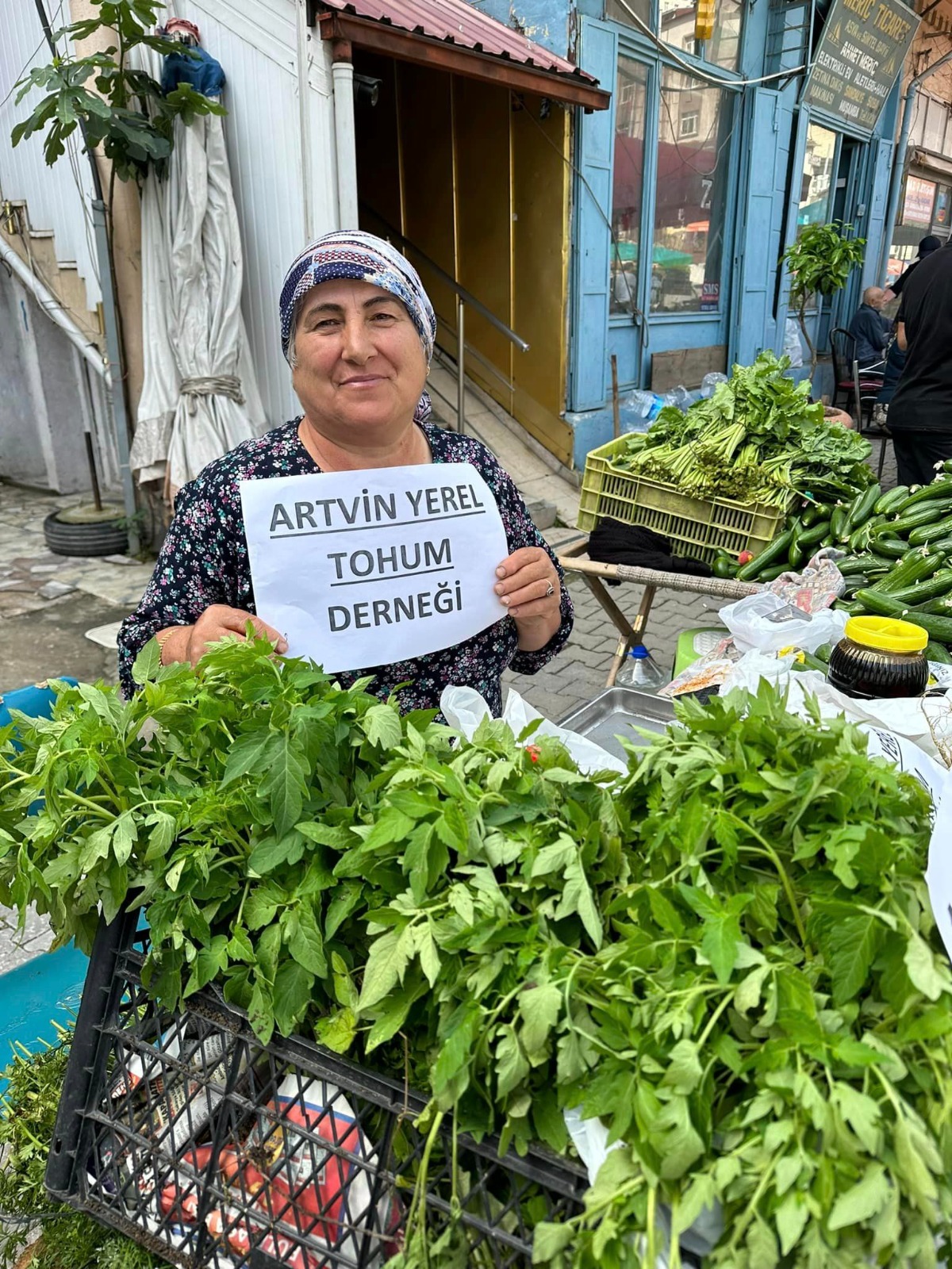 Artvin Yerel Tohum Derneği fide dağıtımı yaptı (1)