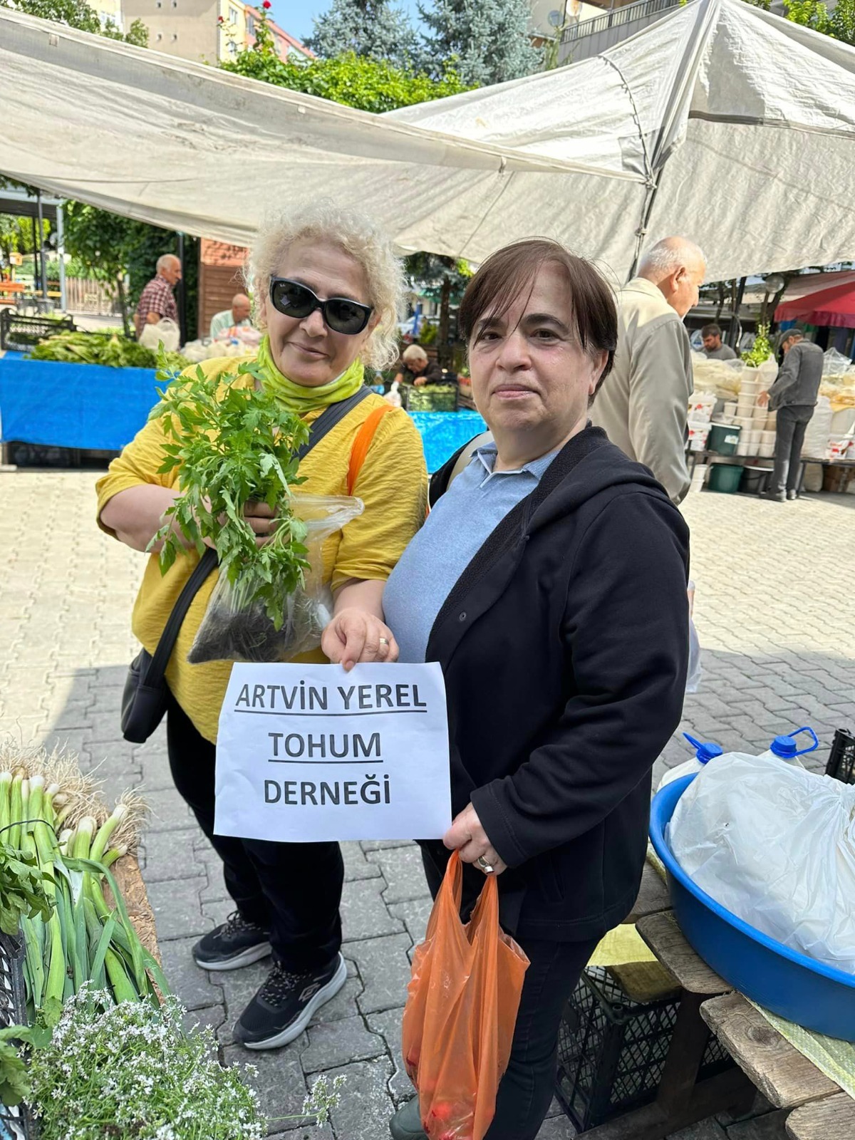 Artvin Yerel Tohum Derneği fide dağıtımı yaptı (3)