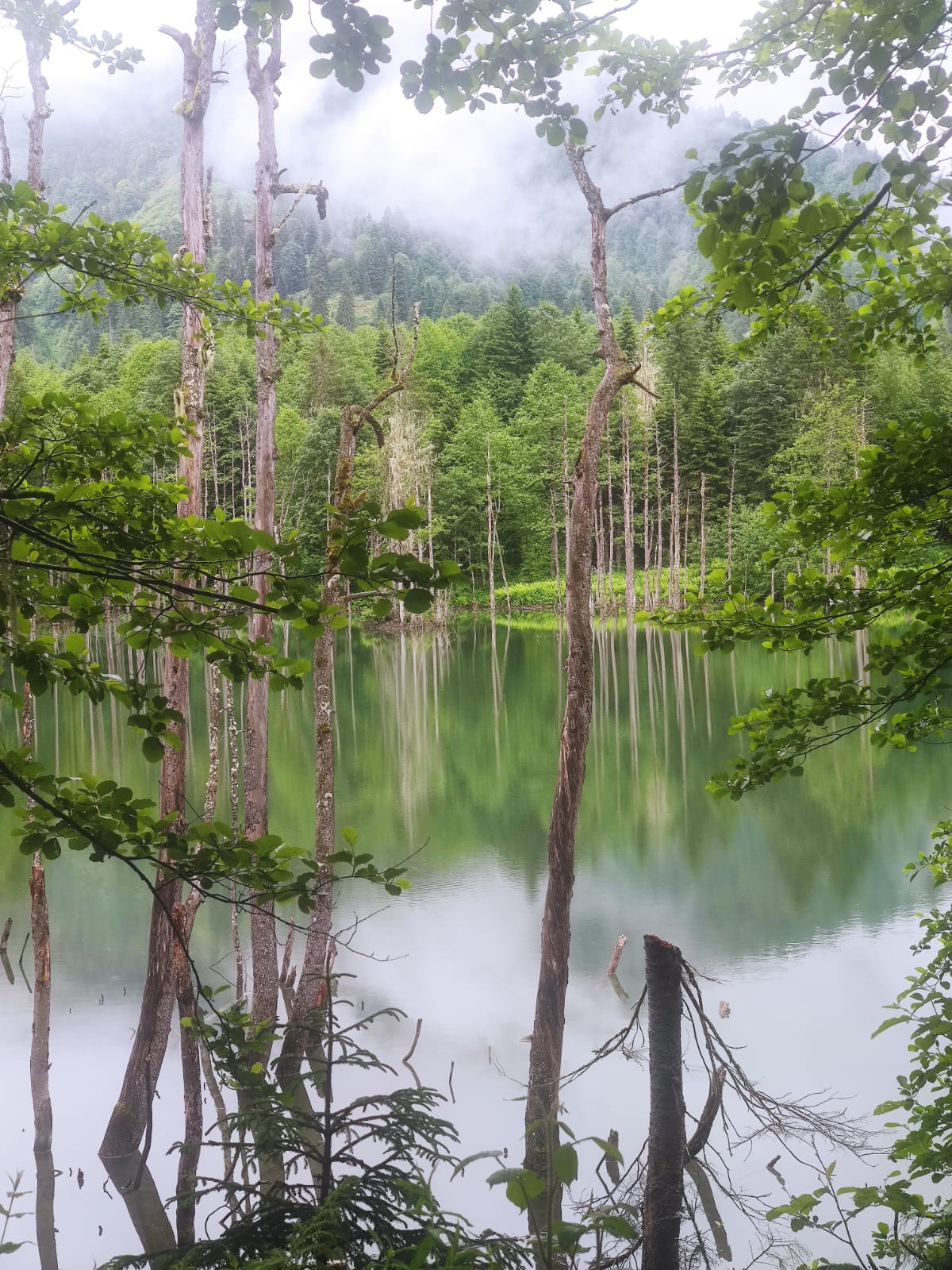 Artvin’in Doğasına Hayran Kaldılar (3)