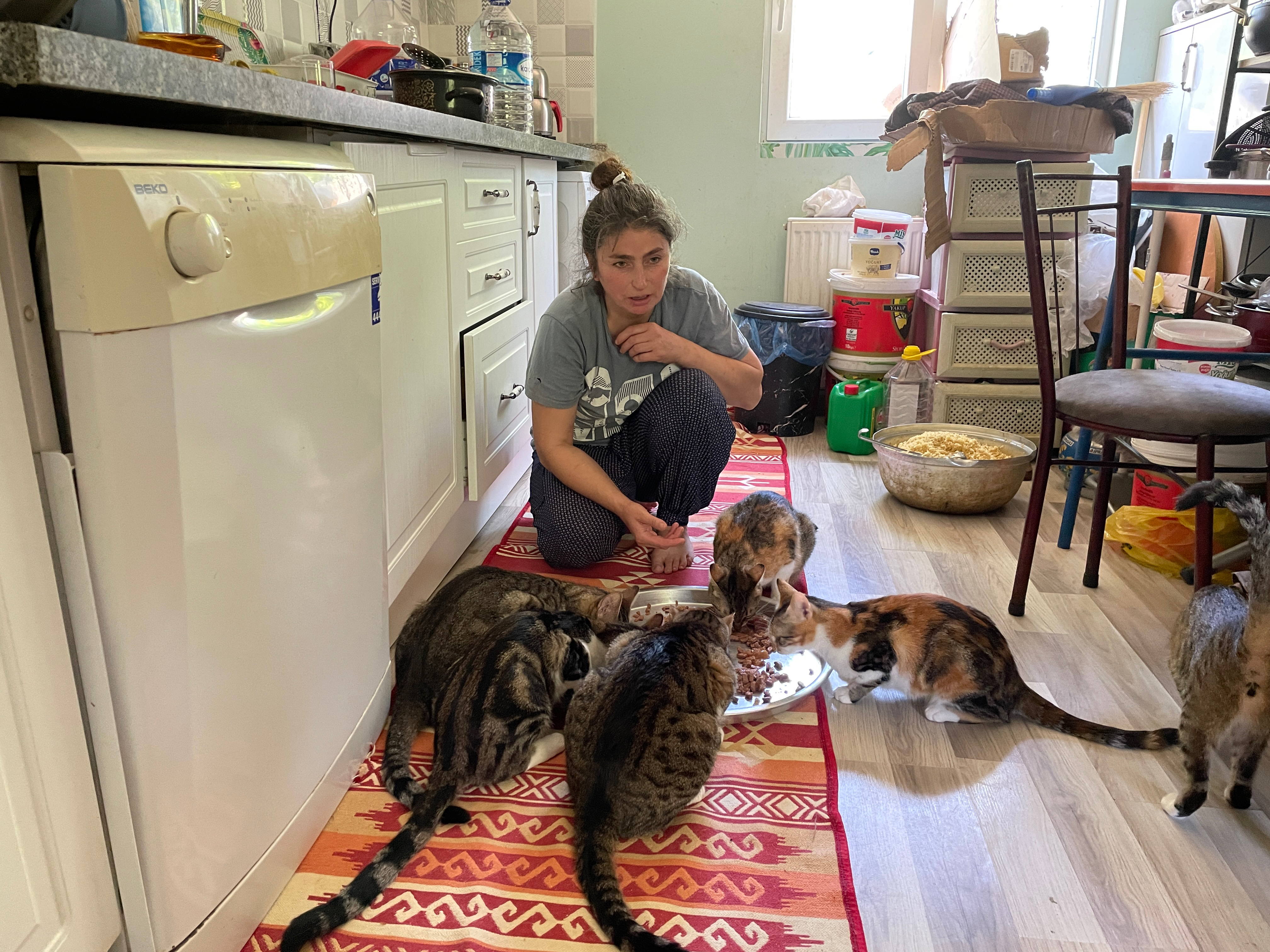 Evini 43 kedi ve köpekle paylaşıyor (5)