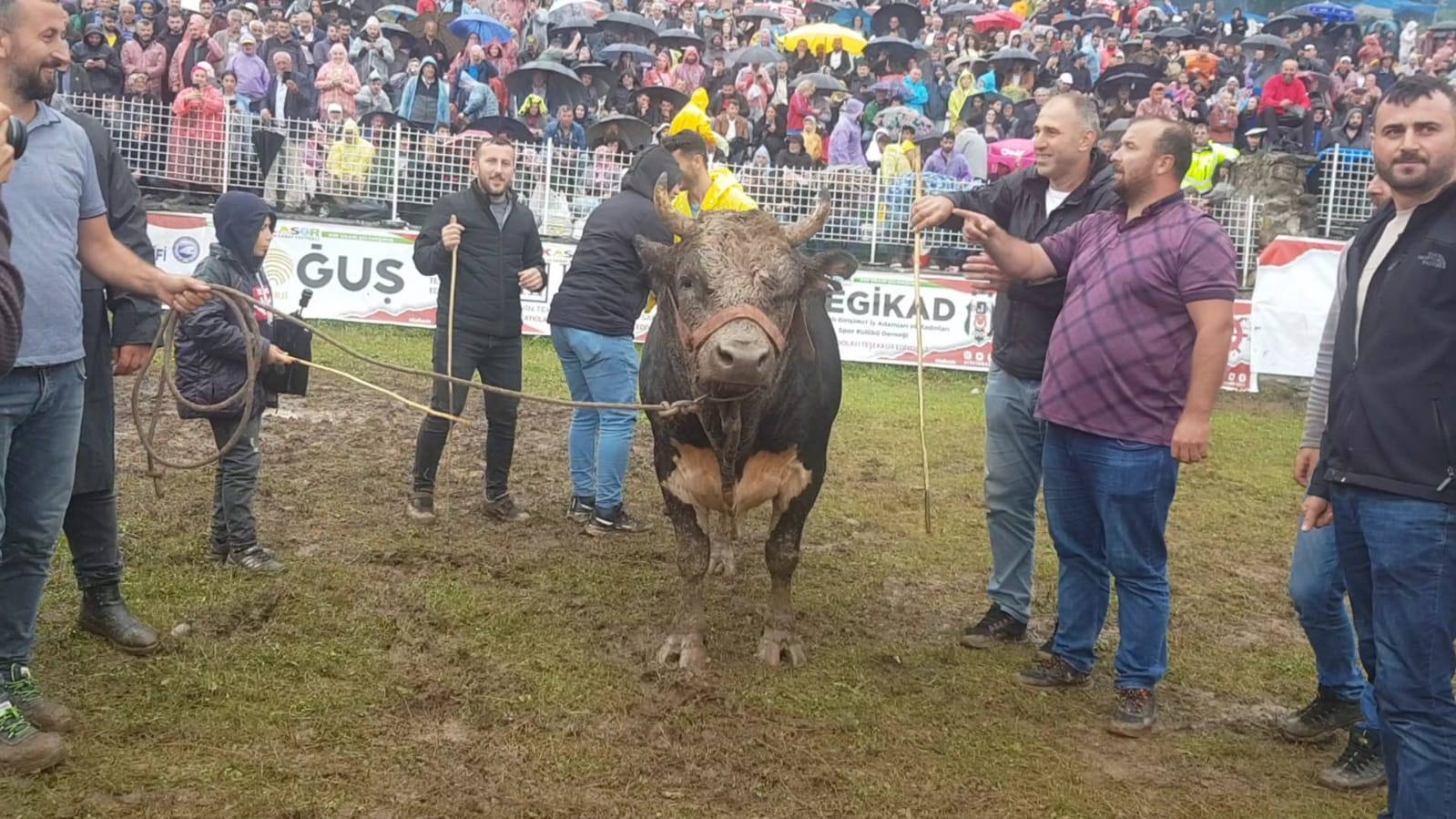 Kafkasör Festivali sona erdi (4)