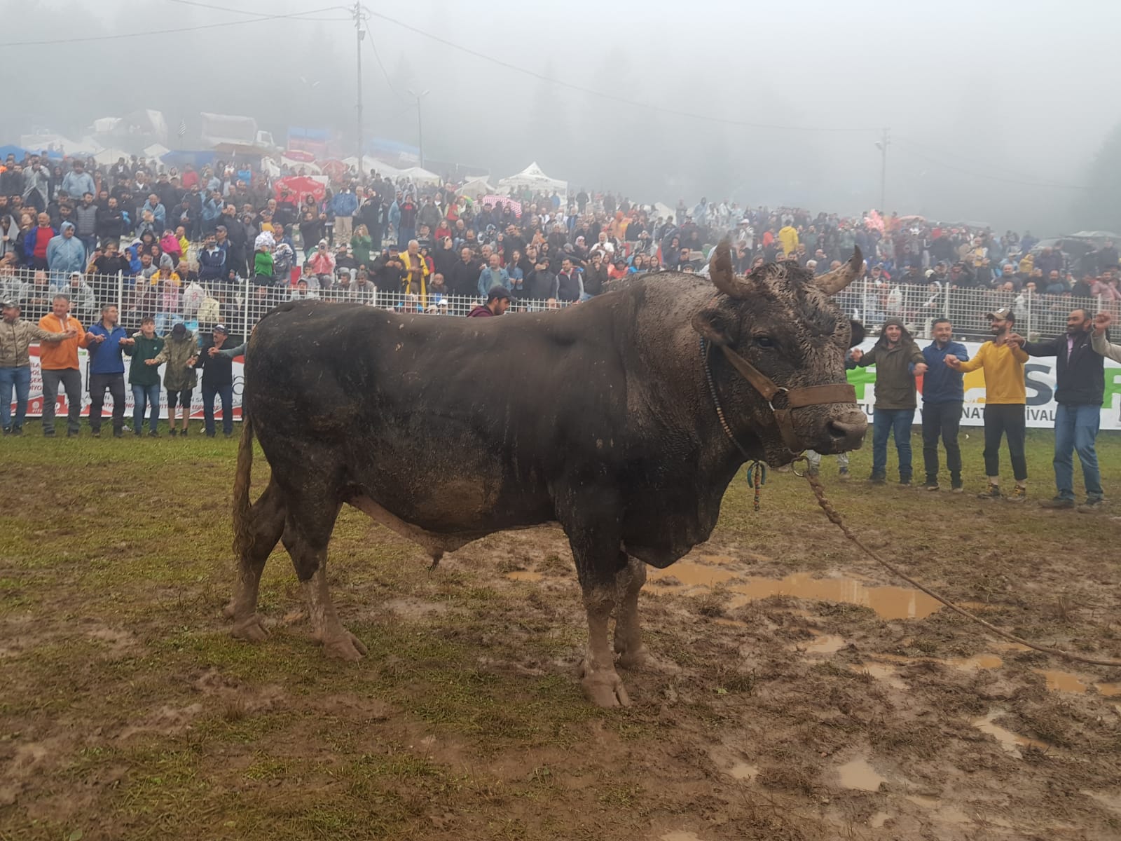 Kafkasör Festivali sona erdi (6)