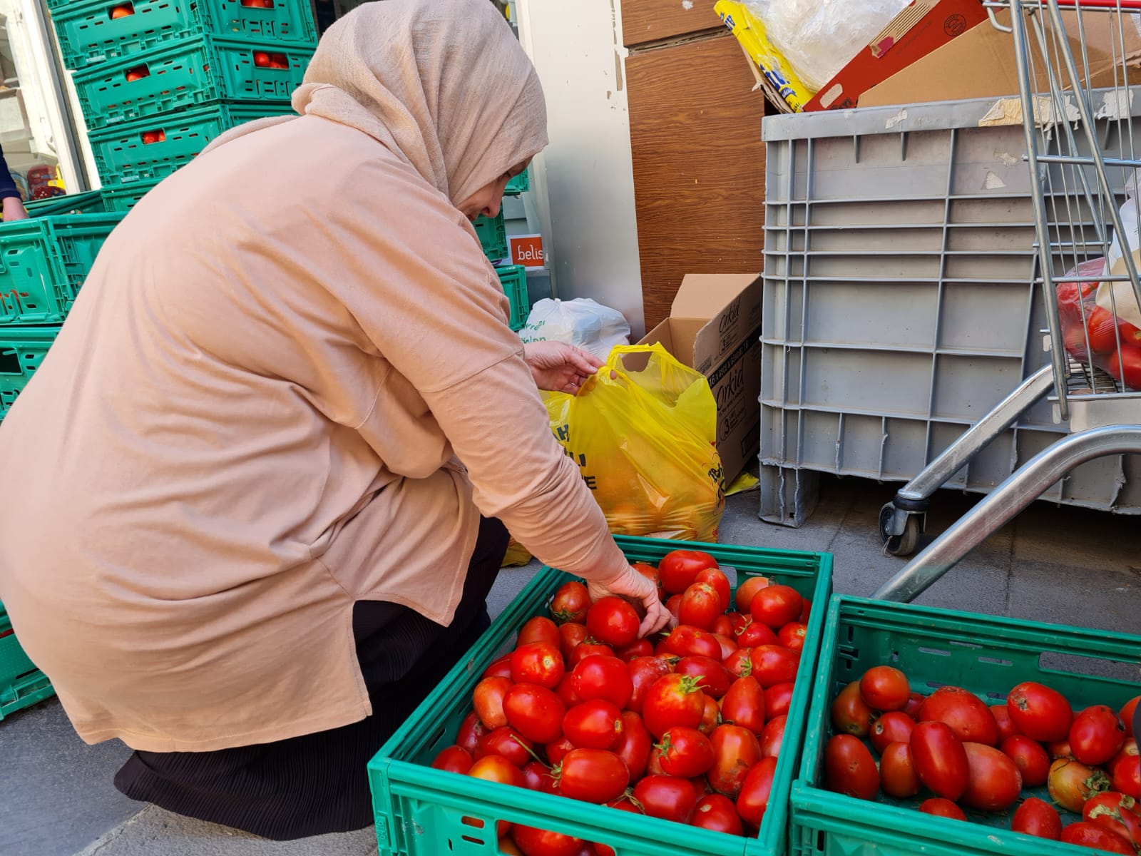 Domatesin fiyatı şoka uğrattı (5)