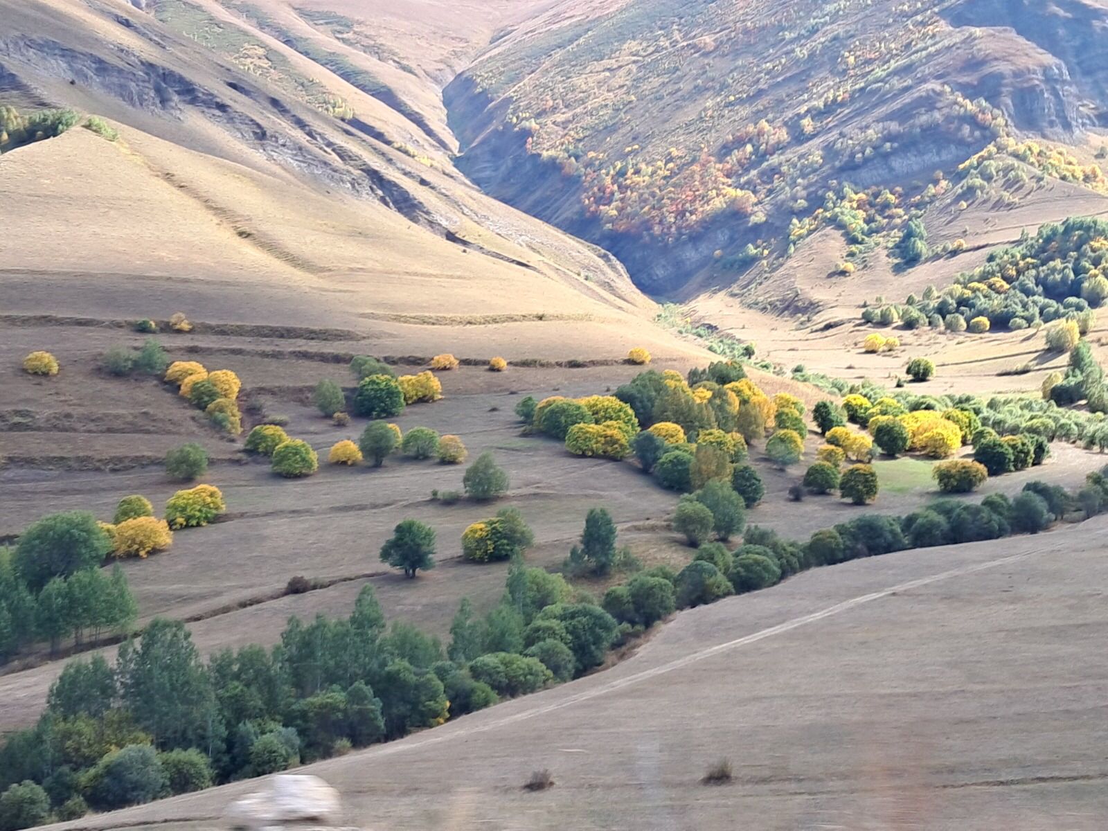 Renk Cümbüşü (1)