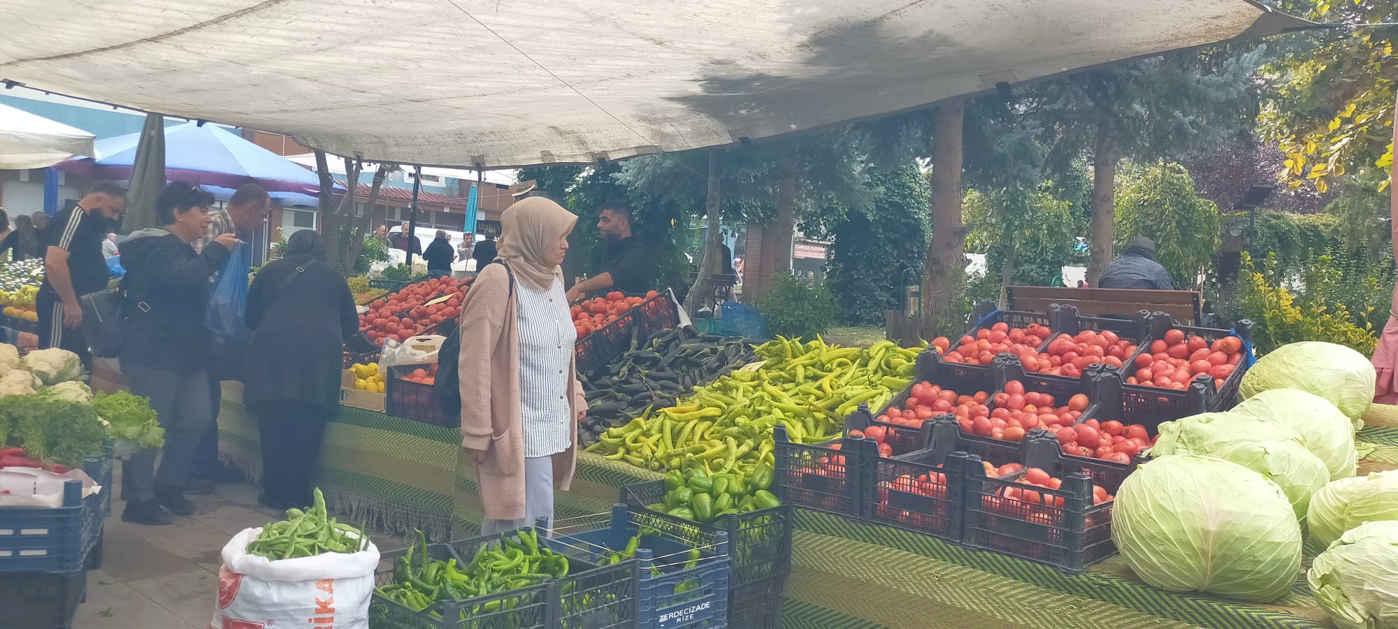 Haftanın zam şampiyonu kapya biber (3)