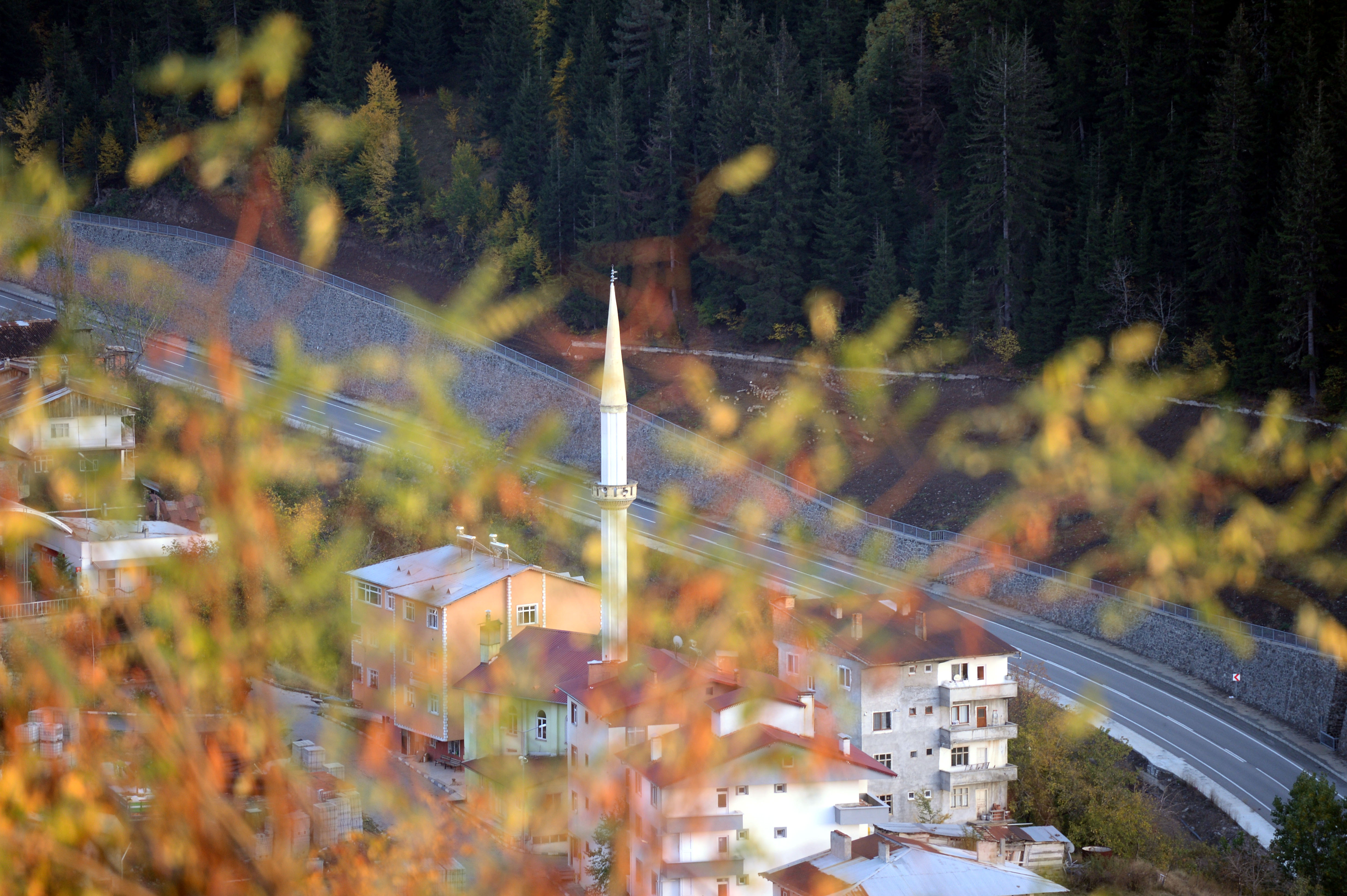 Şavşat'ta sonbahar renkleri hakim oldu (1)