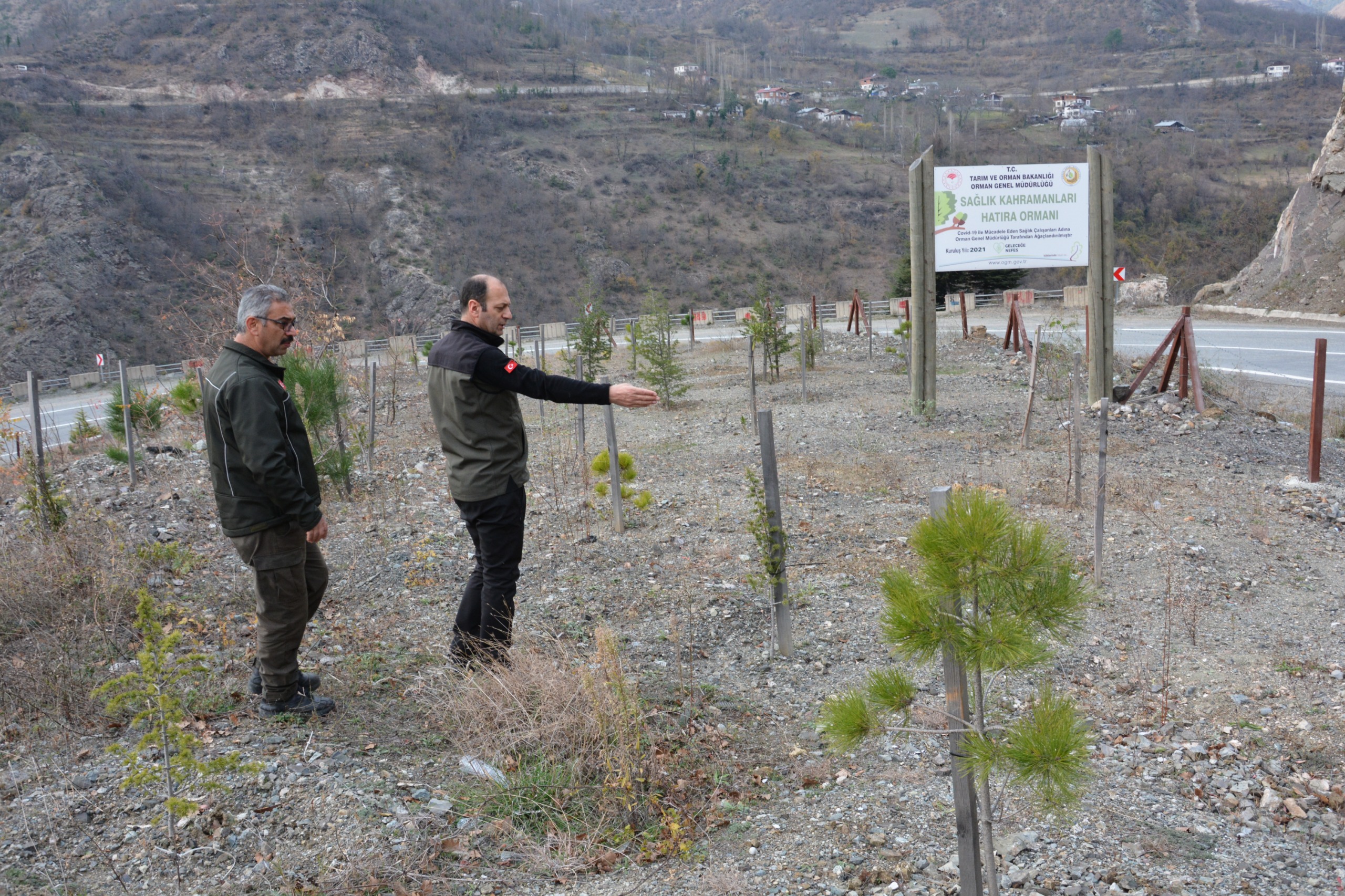 Artvin Orman Bölge Müdürlüğü5